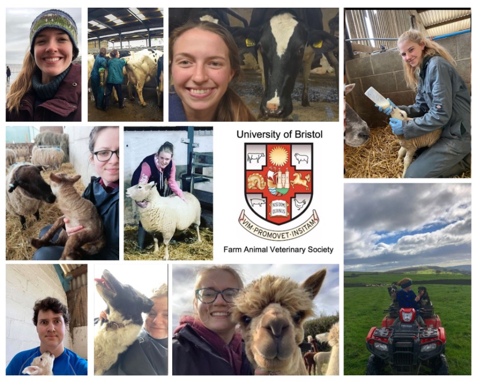 Your University Bristol FAVS